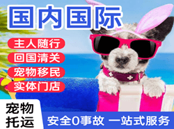 银川国际宠物托运 【国